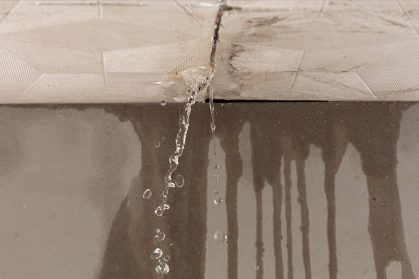 Professional Water Damage Inspection technician working in Eagle Lake, TX